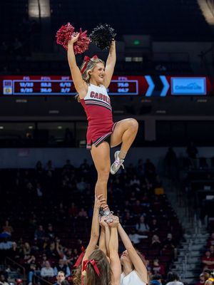 Image post by @gamecockcheer on Instagram