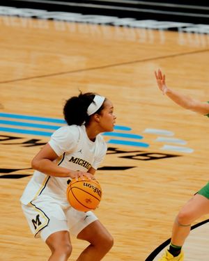 Image post by @umichwbball on Instagram