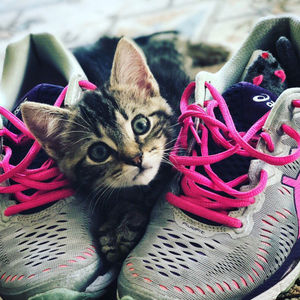 Image post by @usta on Instagram