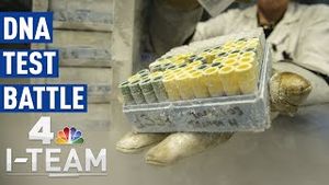 Video post by @nbcnewyork on YouTube