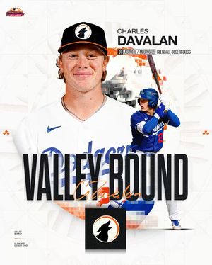 Image post by @mlbazfallleague on Instagram