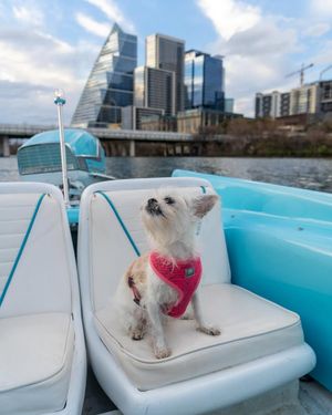 Image post by @retroboatrentalsatx on Facebook