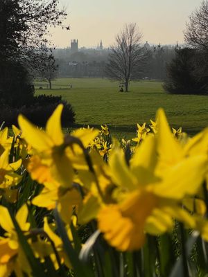 Image post by @oxford_uni on Instagram