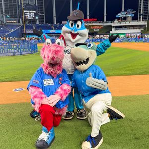 Image post by @gohammerheads on Instagram