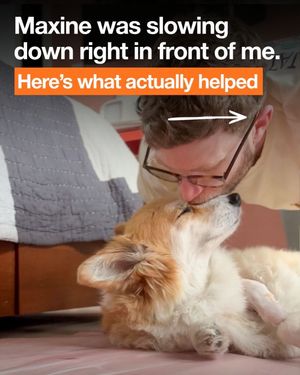 Video post by @madmax_fluffyroad on TikTok