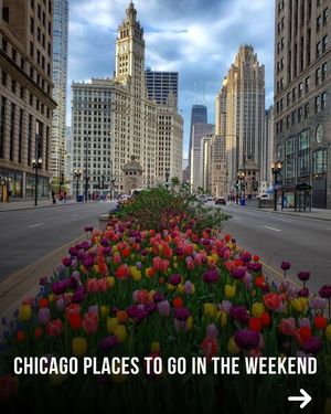 Image post by @chicago.explore on Instagram