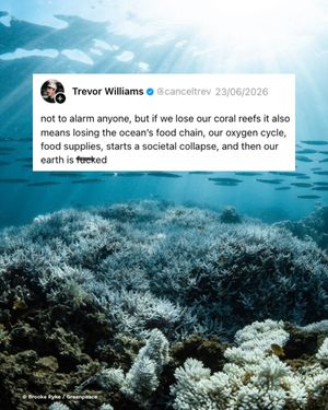 Image post by @greenpeace on Instagram