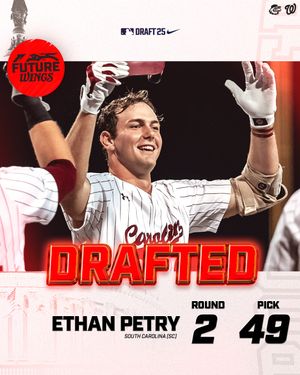 Image post by @rocredwings on Instagram