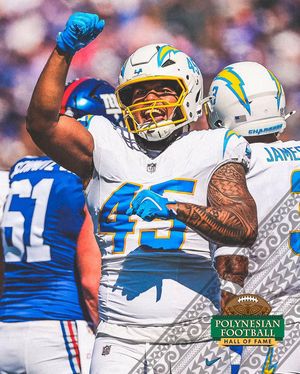 Image post by @polynesianfbhof on Instagram