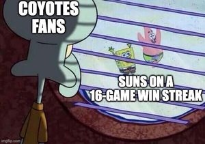 Image post by @PHNX_Coyotes on Twitter