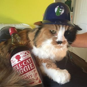 Image post by @picklesbaseball on Instagram
