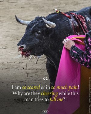 Image post by @peta on Instagram