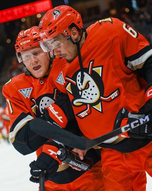 Image post by @anaheimducks on Instagram