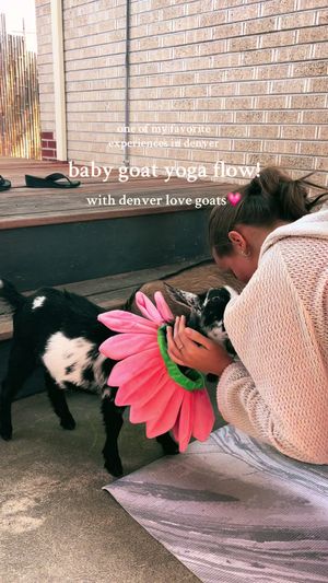 Video post by @filmbychloeg on TikTok