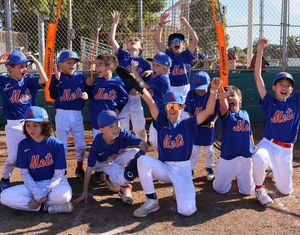 Image post by @nymetscamps on Instagram