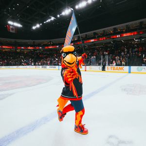 Image post by @Firebirds on Twitter/X