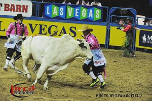 Image post by @prca_prorodeo on Instagram