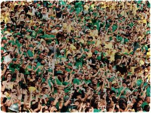 Image post by @goducks on Instagram