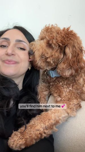 Video post by @tedflixnchill on TikTok