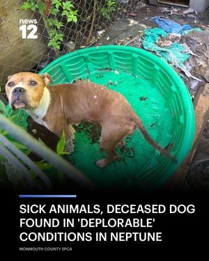 Image post by @news12nj on Instagram