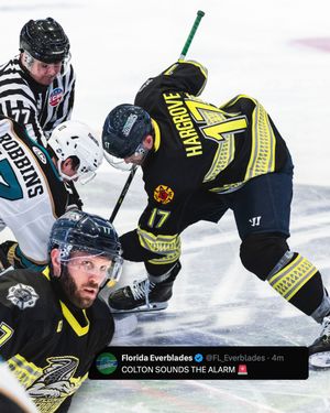 Image post by @fl_everblades on Instagram