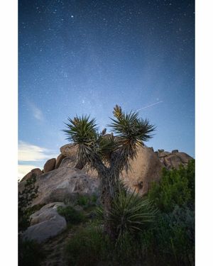 Image post by @isterlingphotography on Instagram