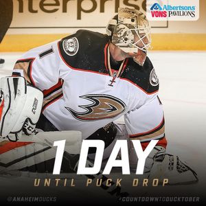 Image post by @anaheimducks on Instagram