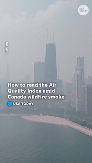 Video post by @usatoday on TikTok
