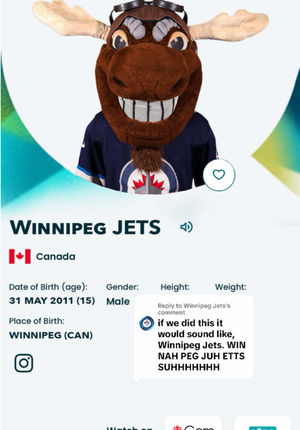 Video post by @nhljets on TikTok