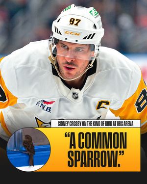 Image post by @nhl on Instagram