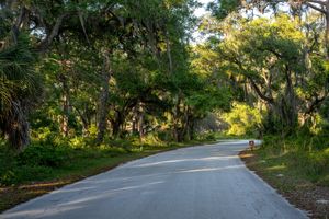 Image post by @visitsarasotacounty on Instagram