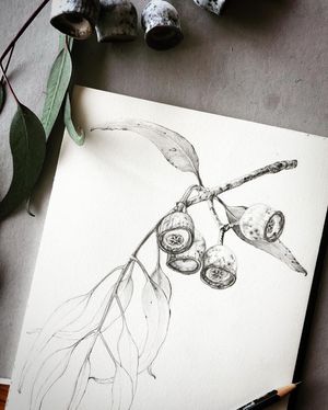 Image post by @domvdm_formd on Instagram