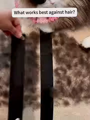 Video post by @caughtbycapo on TikTok