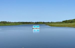 Image post by @BadgerMGolf on Twitter