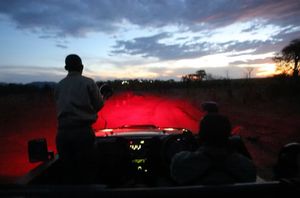 Image post by @chiawasafaris on Instagram