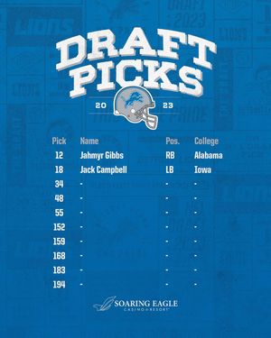 Image post by @detroitlionsnfl on Instagram