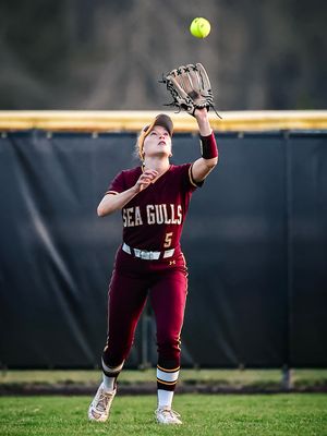 Image post by @taylograph_ on Instagram