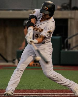 Image post by @gohoneyhunters on Instagram