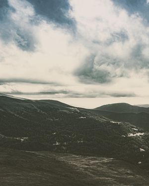 Image post by @cristan.nature.photography on Instagram
