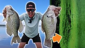 Video post by @lakeforkguy on YouTube