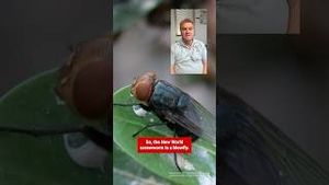 Video post by @ncstatecals on YouTube
