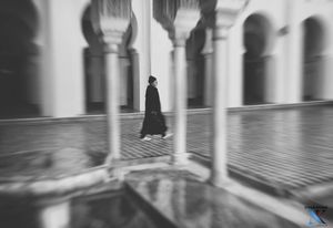 Image post by @noblekreative on Instagram