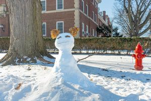 Image post by @illiniunion on Instagram