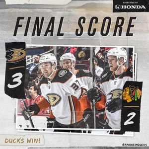 Image post by @anaheimducks on Instagram