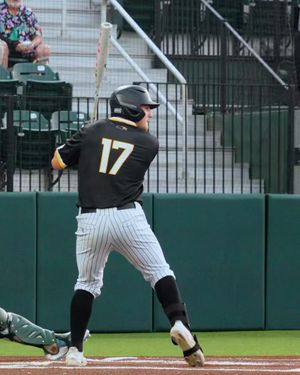 Video post by @SouthernMissBSB on Twitter