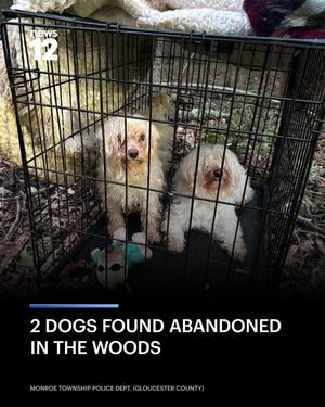 Image post by @news12nj on Instagram