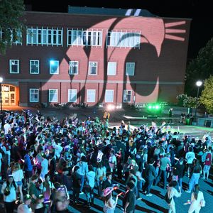 Image post by @wsupullman on Instagram