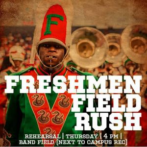 Image post by @famuathletics on Instagram