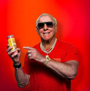 Image post by @ricflairnatureboy on Instagram