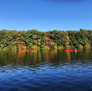 Image post by @bcrowing on Instagram
